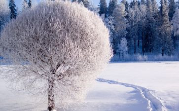 雪天安全教育教案5篇