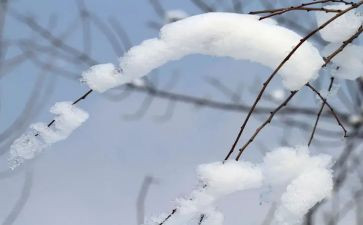 党员除雪事迹材料范文推荐7篇