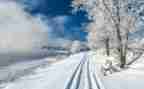 冬天的雪三年级作文8篇
