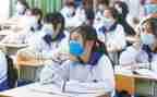 幼儿园学纲要心得体会7篇