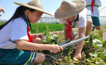 学农实践总结7篇