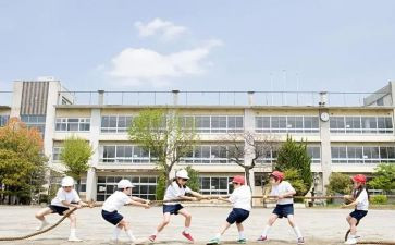 大学生自我鉴定800字8篇