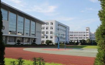 2024学校年终工作总结5篇