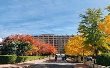 学校的合同5篇