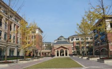 学校2024工作总结8篇