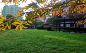 去学校的演讲稿优秀8篇