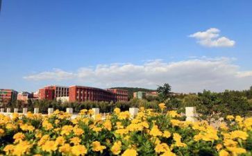 学校2024年工作总结通用5篇