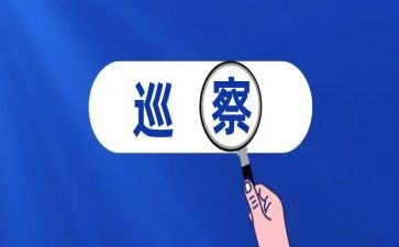巡察干部述职报告5篇