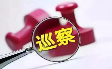 2024年巡察干部个人述职述廉报告5篇