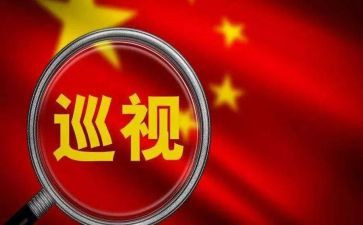 巡查员年终总结8篇