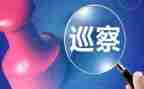 安全巡查员工作总结5篇