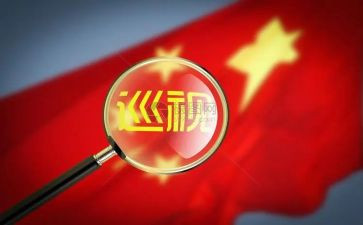 个人巡视工作总结6篇
