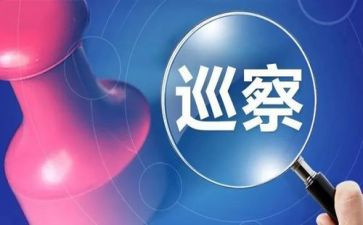 巡视组总结报告6篇