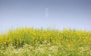 初一优秀叙事作文600字7篇
