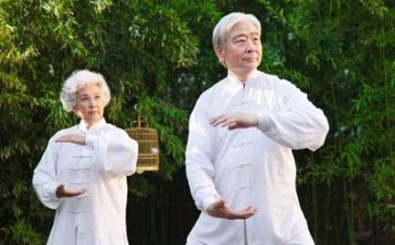 养老险工作计划7篇