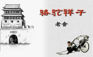 这样子的我作文5篇