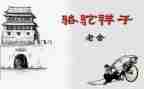 这样子的我作文5篇