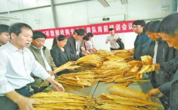 试验员的工作总结6篇