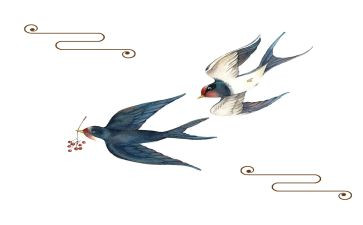 燕子学飞作文5篇