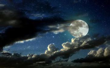 夜里不睡觉的人教案7篇