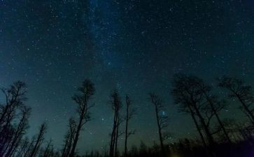 夜空中最亮的星作文6篇