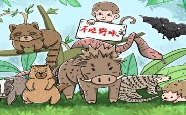 拒绝野味敬畏自然演讲稿8篇