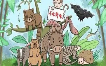 拒绝拒绝野味的演讲稿8篇
