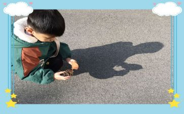 影子画幼儿教案模板7篇