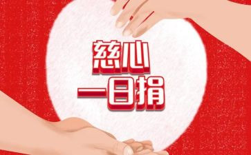 一日捐活动总结8篇