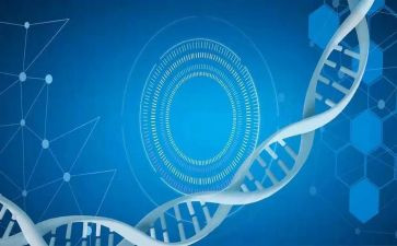 医学生心得体会范文推荐8篇