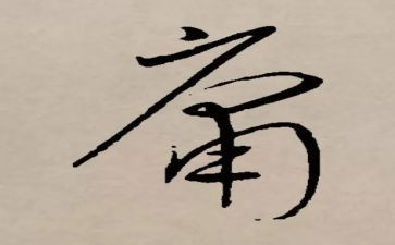 恶的平庸性作文5篇