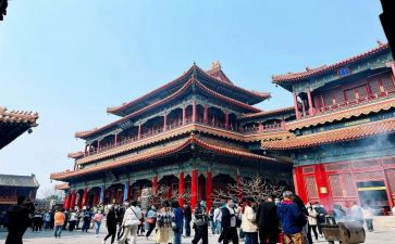 雍和宫的年味作文8篇
