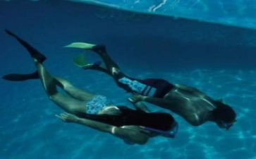 遨游的小作文优秀8篇