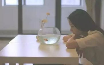 介绍自己的优点作文5篇