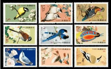 幼儿园画邮票教案6篇