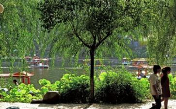 游园活动方案优质6篇