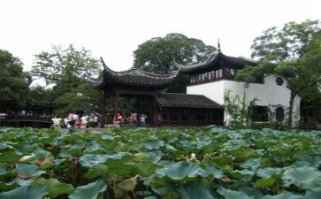 元旦游园活动方案策划6篇