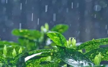秋雨的作文400字5篇