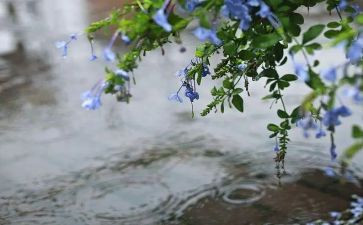 雨主题演讲稿优秀7篇