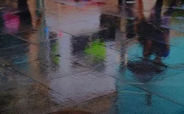 老人雨演讲稿精选6篇