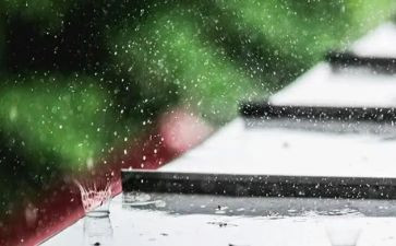 关于秋雨的作文7篇