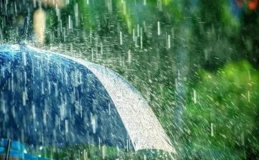 春天的雨作文600字8篇