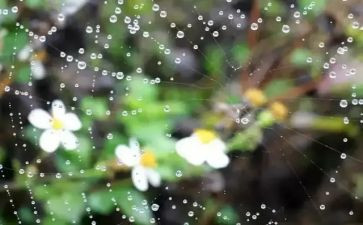 雨的感悟作文600字优秀7篇