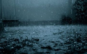 雨的感悟为话题的作文7篇