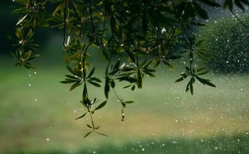 《英雄雨来》读后感7篇