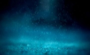 雨后作文300字5篇