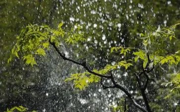 描写雨的作文400字通用6篇
