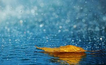 雨主题演讲稿参考7篇