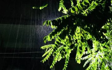 雨雪中即景作文推荐8篇