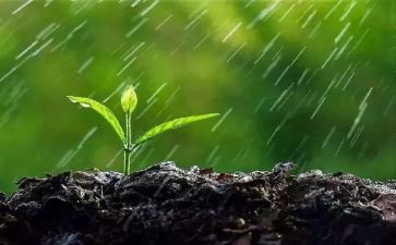 雨来了作文400字精选8篇